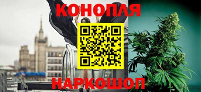 гашик Кунгур