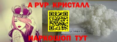 гашик Кунгур
