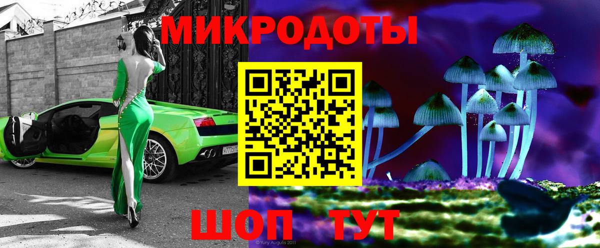 Галлюциногенные грибы прущие грибы Гусиноозёрск