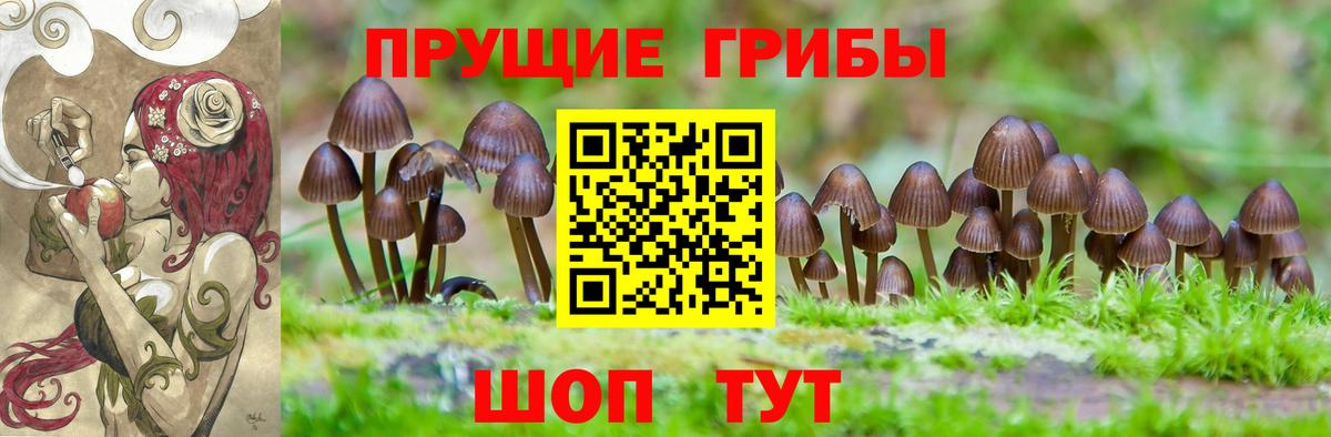Гусиноозёрск  Псилоцибиновые грибы мицелий  Псилоцибиновые грибы мухоморы  Вход с VPN 